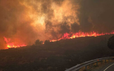 Θα βγει να μιλήσει ο Πρόεδρος για τα καμένα
