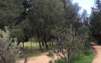 Κοκκινοτριμιθιά: «Μας ξεριζώνουν και το λένε ανάπτυξη»