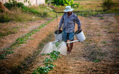 Αγρότες στο χείλος της καταστροφής